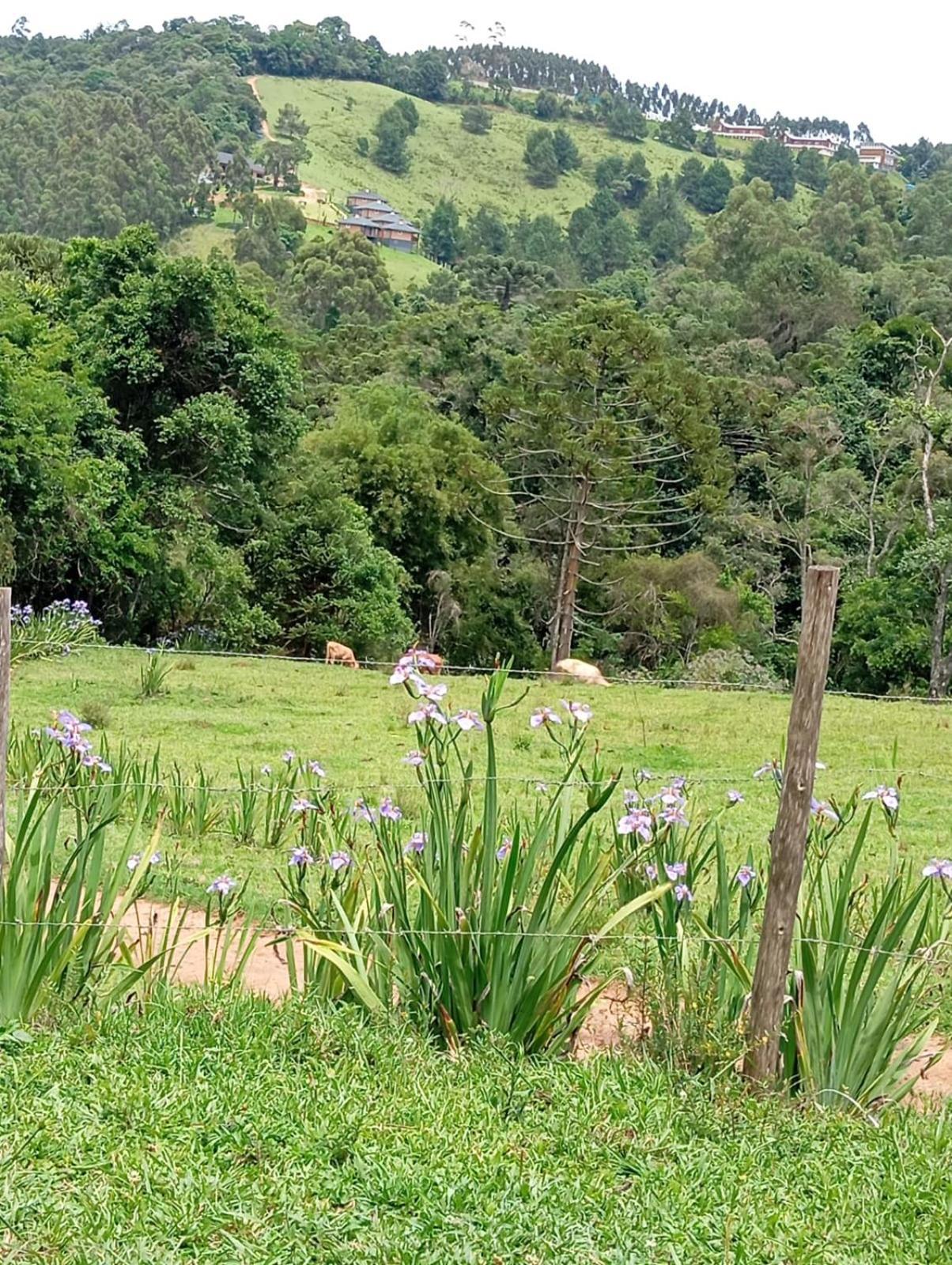 Chale Fazenda Refugio Do Vale Villa Monte Verde  Kültér fotó